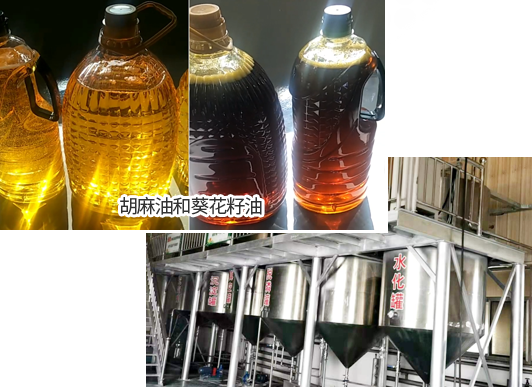 香港图库香港资料库42923