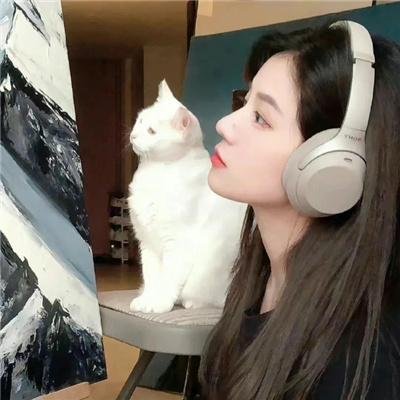 完美的他